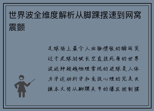 世界波全维度解析从脚踝摆速到网窝震颤